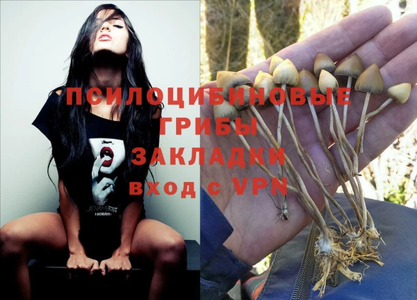 прущий лед Лагань