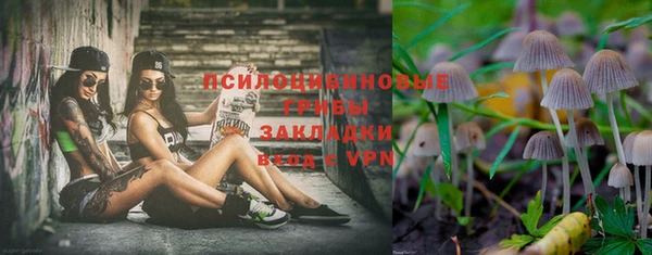 ГАЛЛЮЦИНОГЕННЫЕ ГРИБЫ Липки