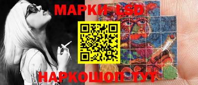 apvp Дубна