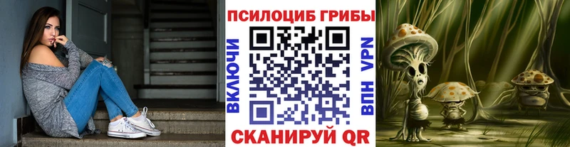 цены наркотик  Североморск  МЕГА зеркало  Псилоцибиновые грибы мухоморы 