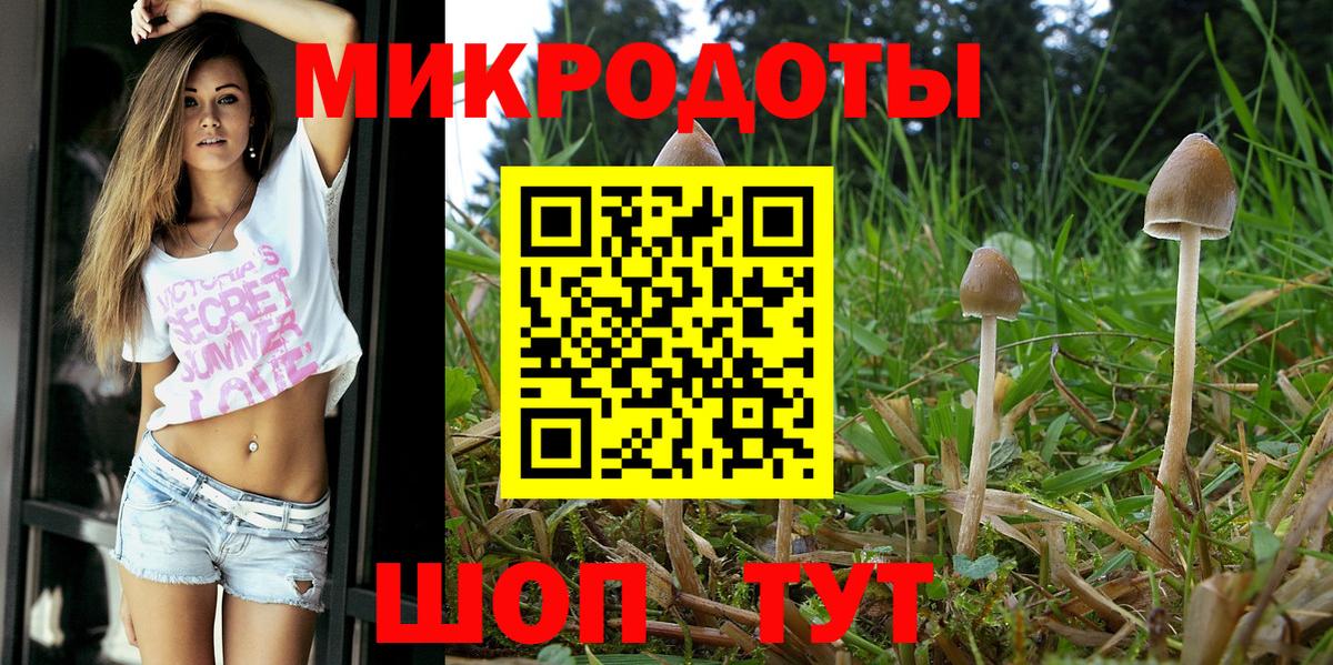 Галлюциногенные грибы MAGIC MUSHROOMS  Североморск 
