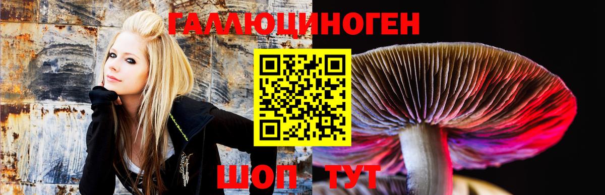 Галлюциногенные грибы мицелий  Вход с VPN  Североморск  Псилоцибиновые грибы Psilocybe 