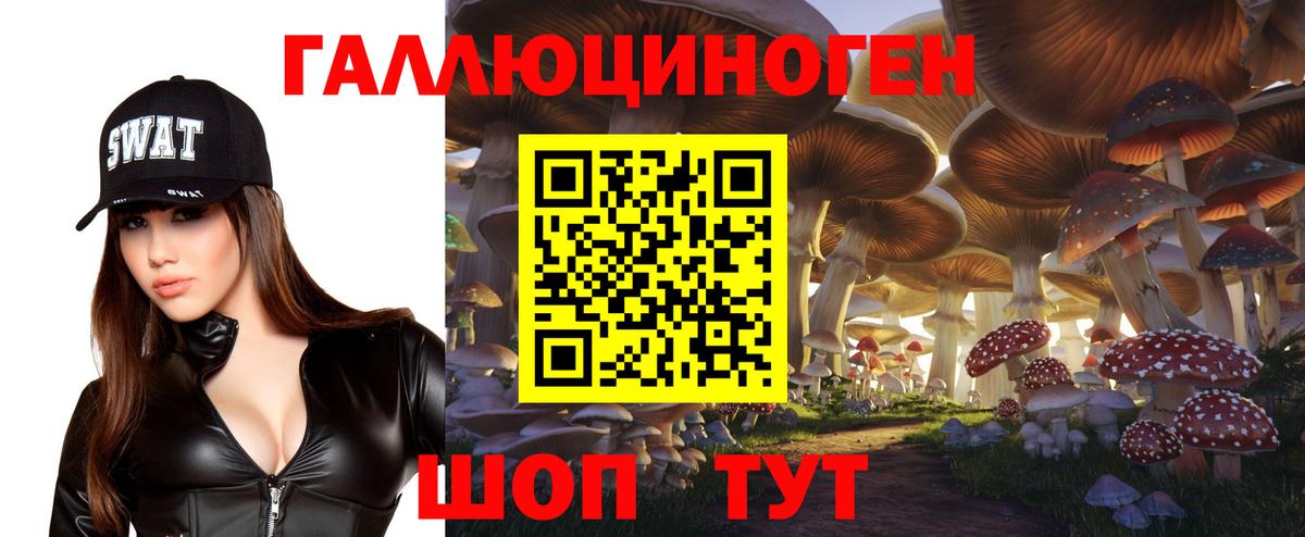 Галлюциногенные грибы Psilocybine cubensis Североморск